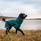 Non-Stop Dogwear Drying Coat