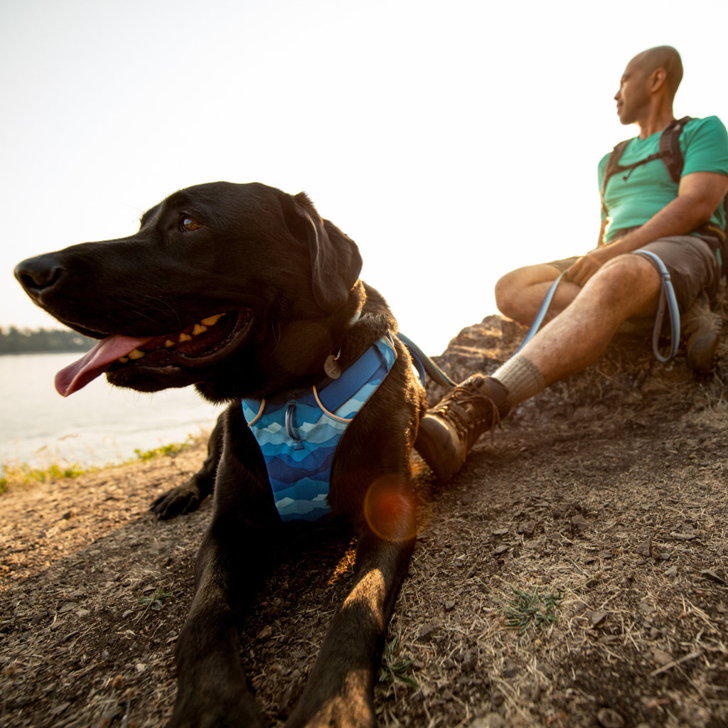 Ruffwear Arnés Front Range