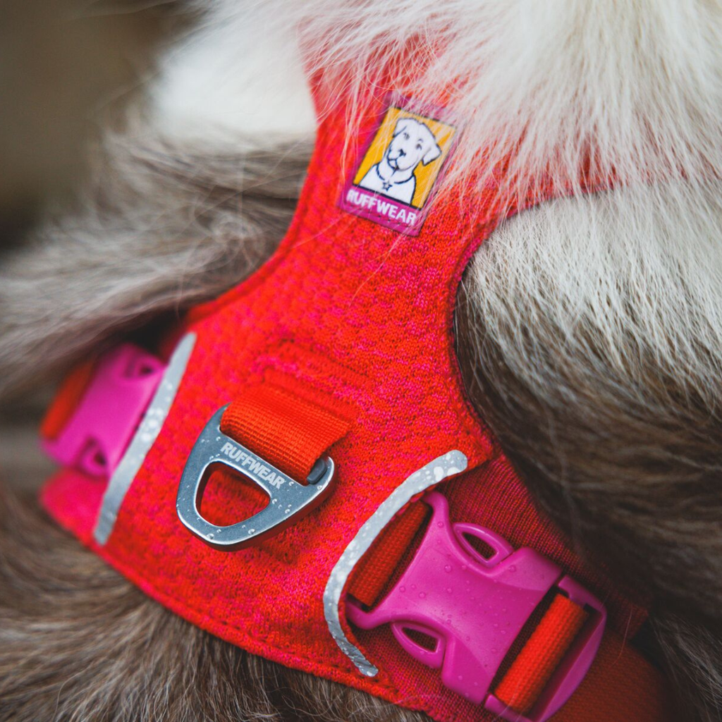 Ruffwear Front Range Flex Harness