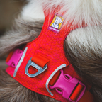 Ruffwear Front Range Flex Harness