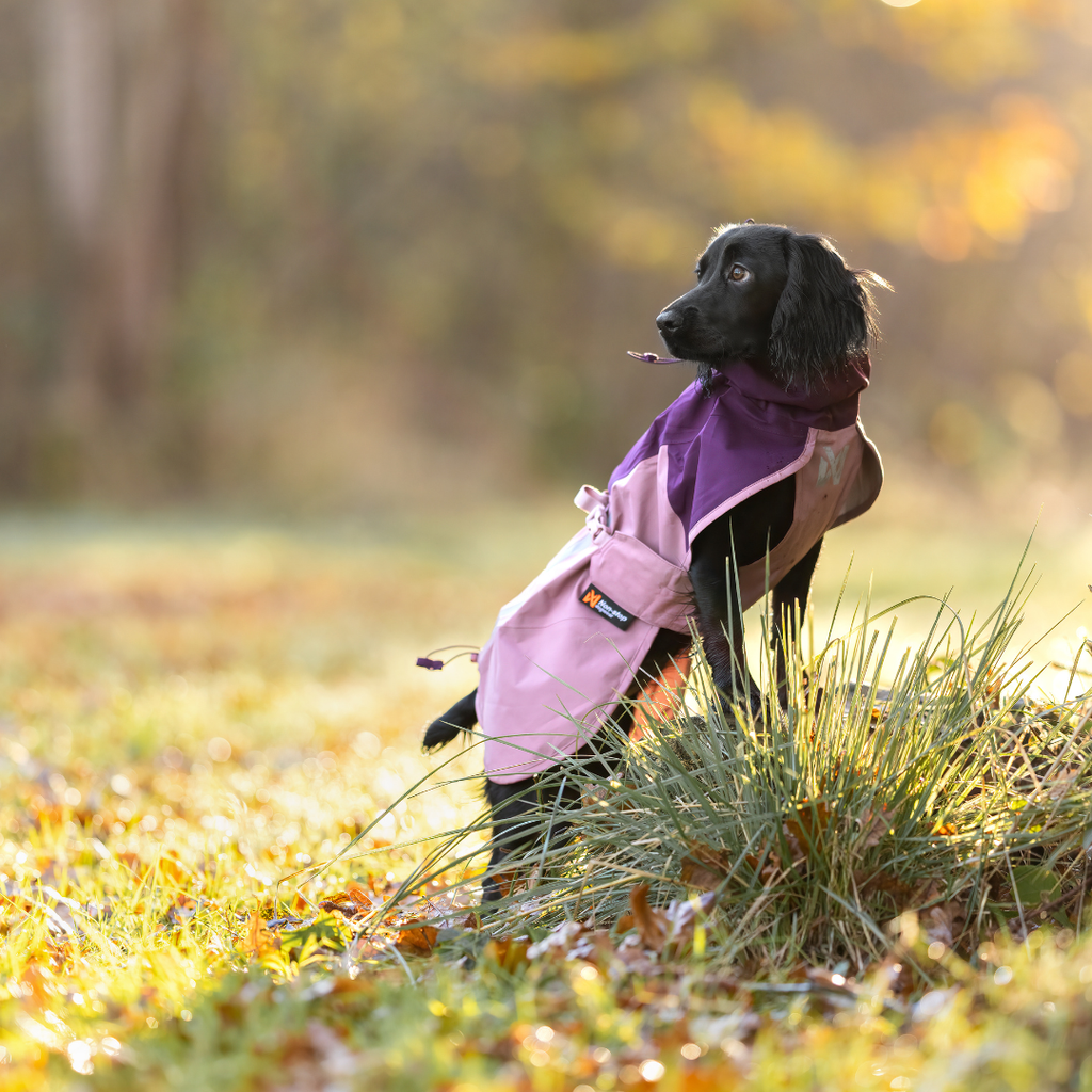 Non-Stop Dogwear Fjord Raincoat 2.0