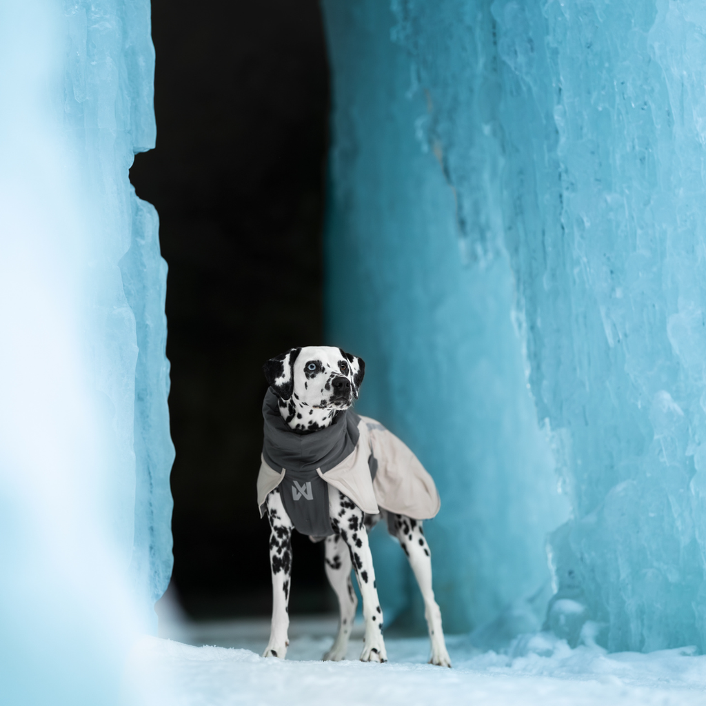Non-Stop Dogwear Glacier Wool Jacket 3.0