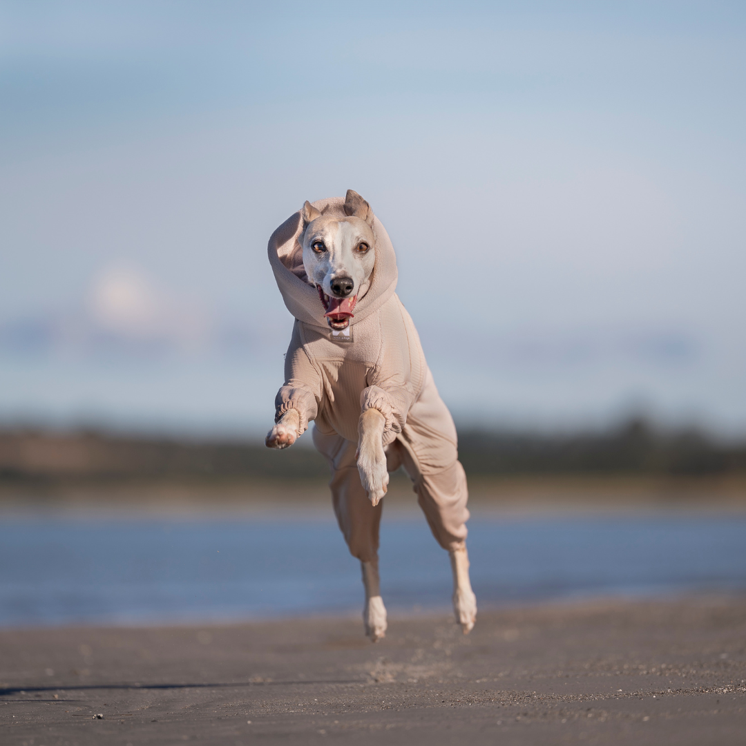 Non-Stop Dogwear Trail Quest Fleece Overall