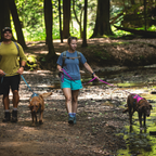 Ruffwear Flagline Harness