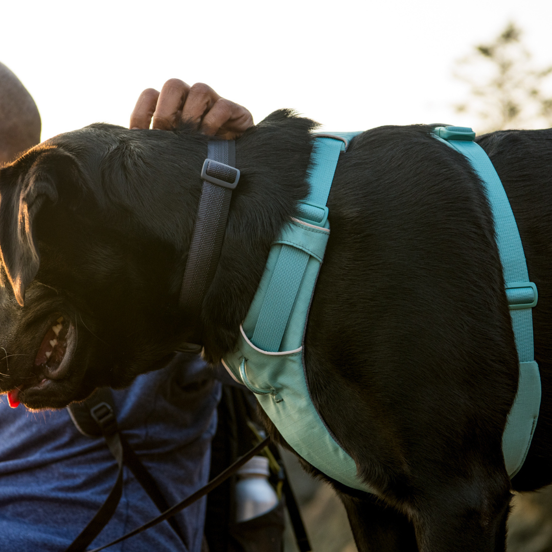 Ruffwear Arnés Front Range