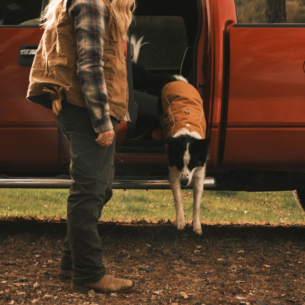 Ruffwear Overcoat Fuse