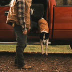 Ruffwear Overcoat Fuse