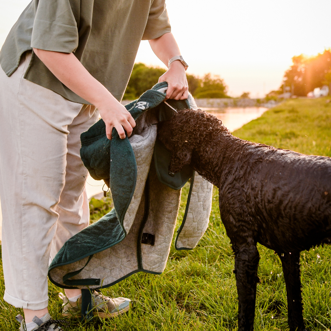 Non-Stop Dogwear Drying Coat