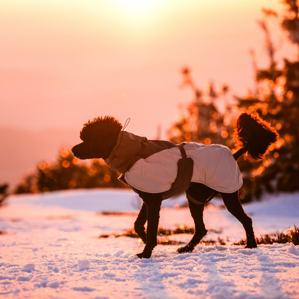 Non-Stop Dogwear Glacier Wool Jacket 3.0