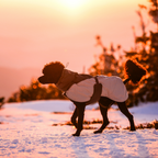 Non-Stop Dogwear Glacier Wool Jacket 3.0