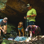 Ruffwear Flagline Harness