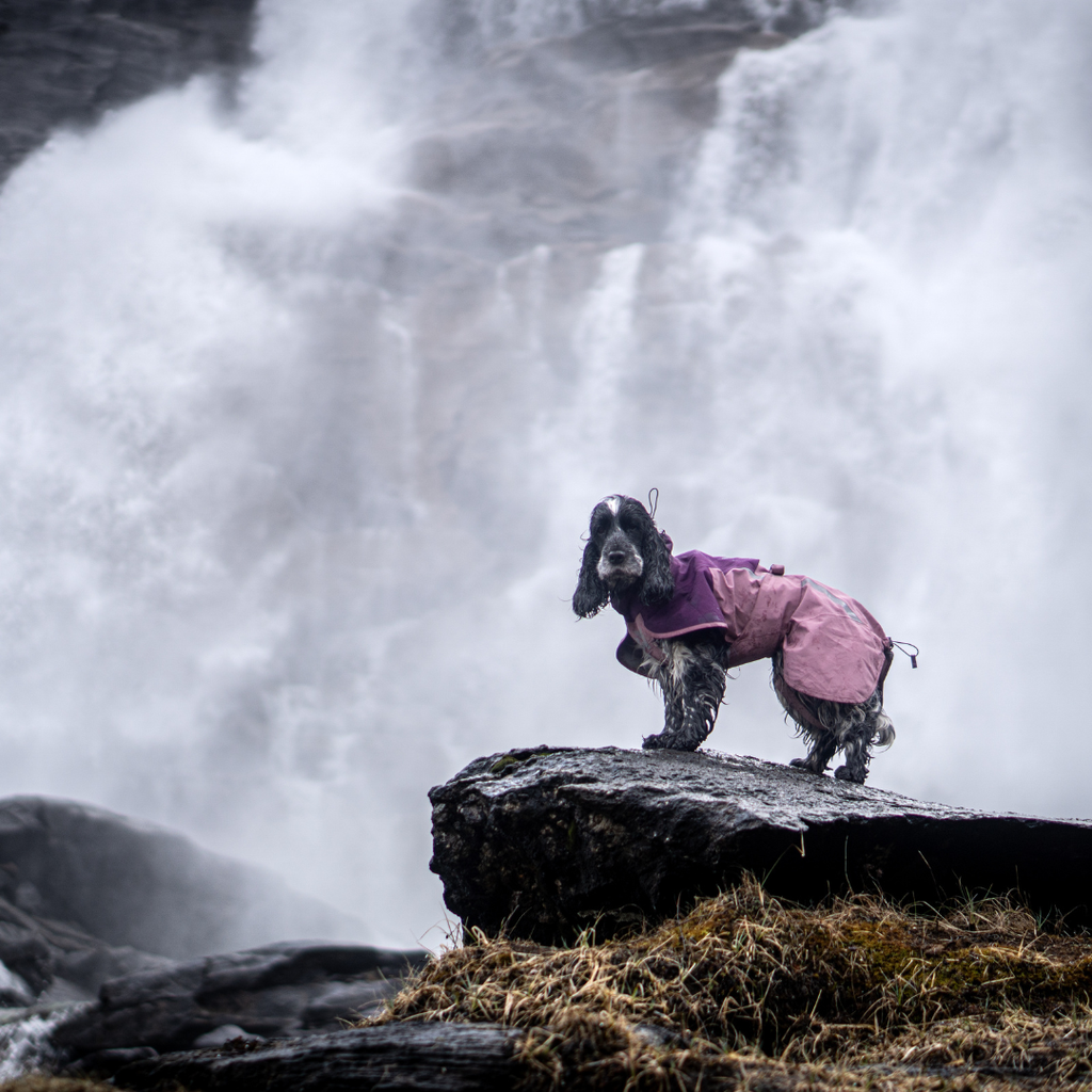 Non-Stop Dogwear Fjord Raincoat 2.0