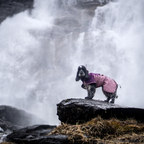Non-Stop Dogwear Fjord Raincoat 2.0