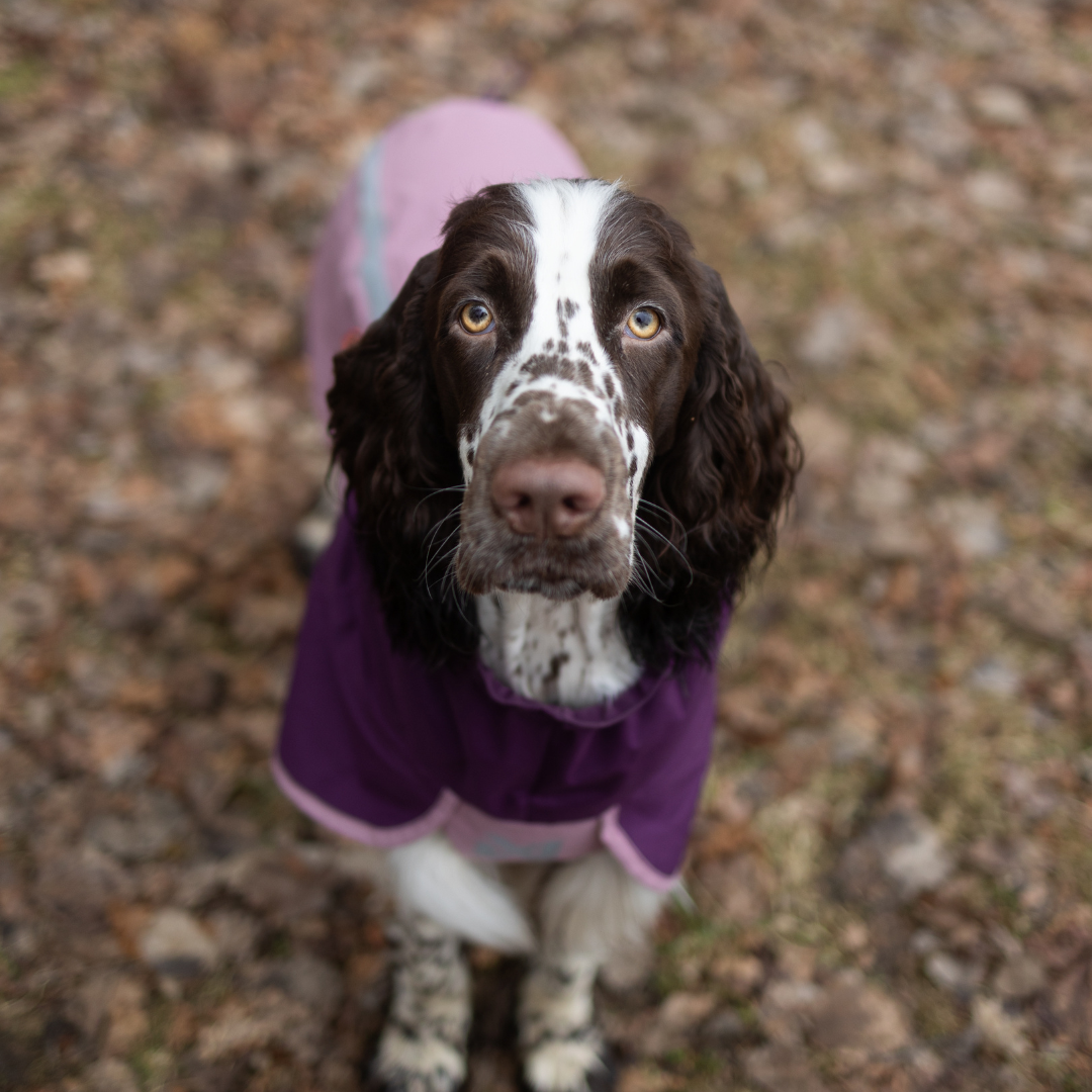 Non-Stop Dogwear Fjord Raincoat 2.0