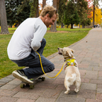Ruffwear Flagline Harness