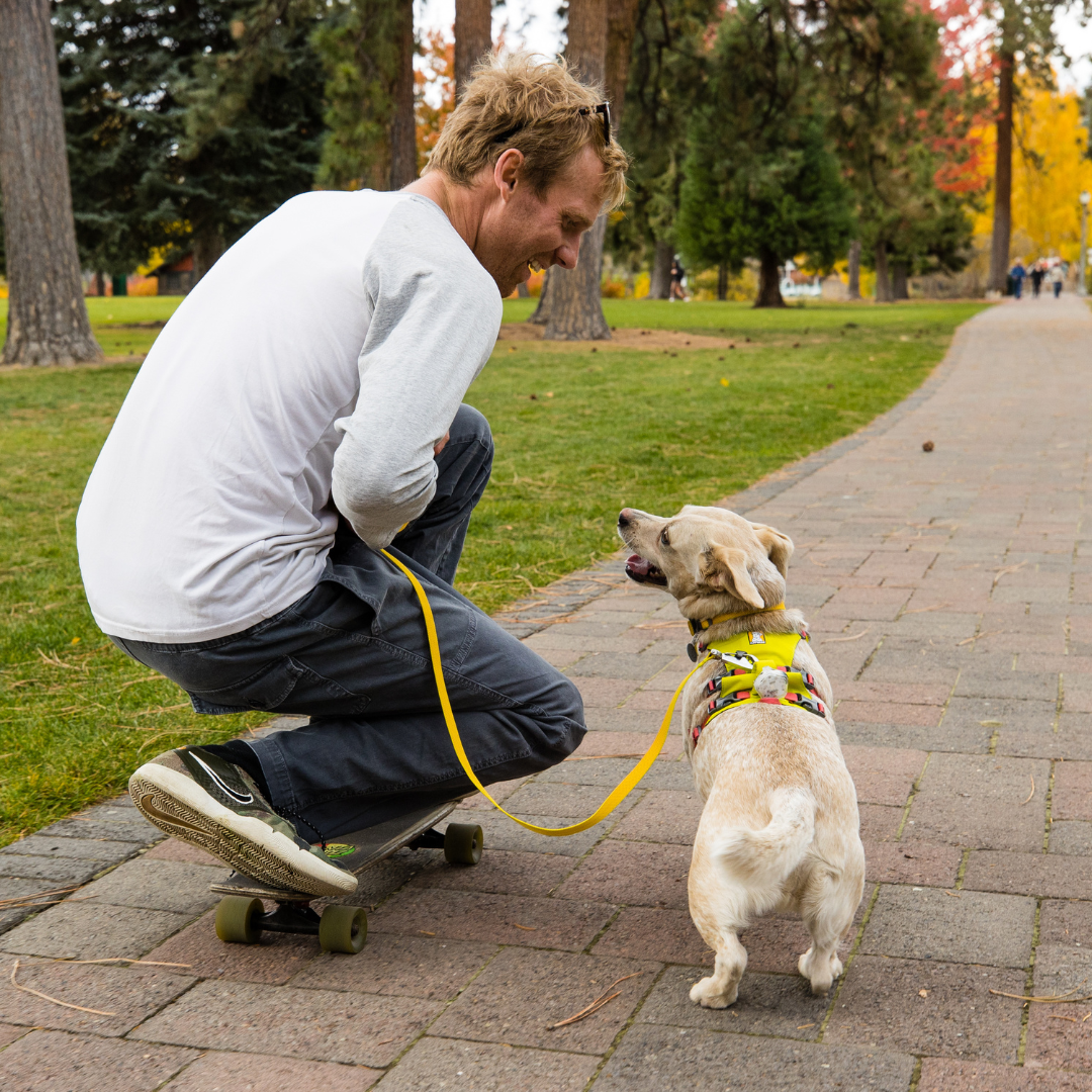 Ruffwear Flagline Harness