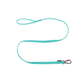 Non-stop Dogwear Bungee leash