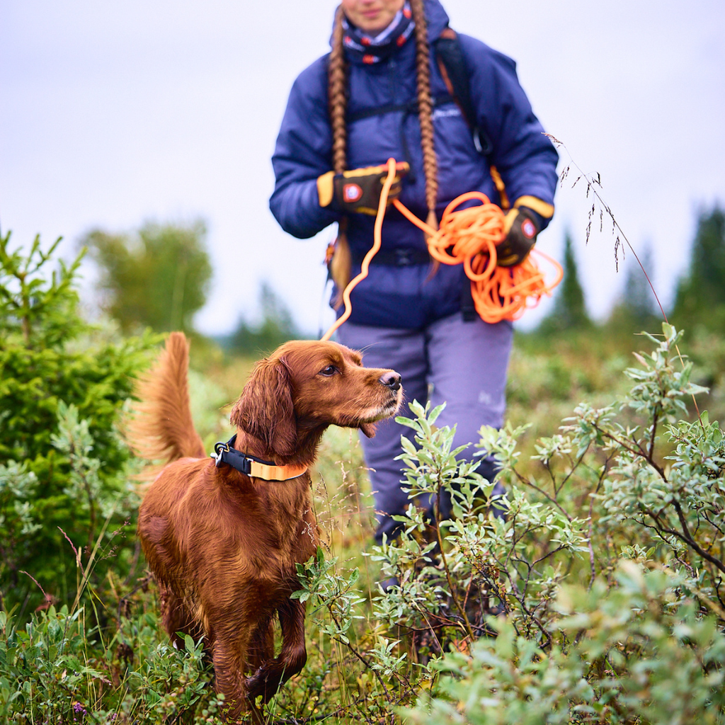Non-Stop Dogwear Protector Collar