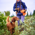 Non-Stop Dogwear Protector Collar