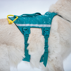 Non-Stop Dogwear Ramble Harness Long