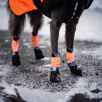 Non-Stop Dogwear Protector Bootie High (juego de 4)