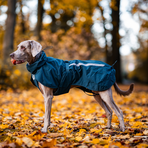 Non-Stop Dogwear Fjord Gevoerde Regenjas
