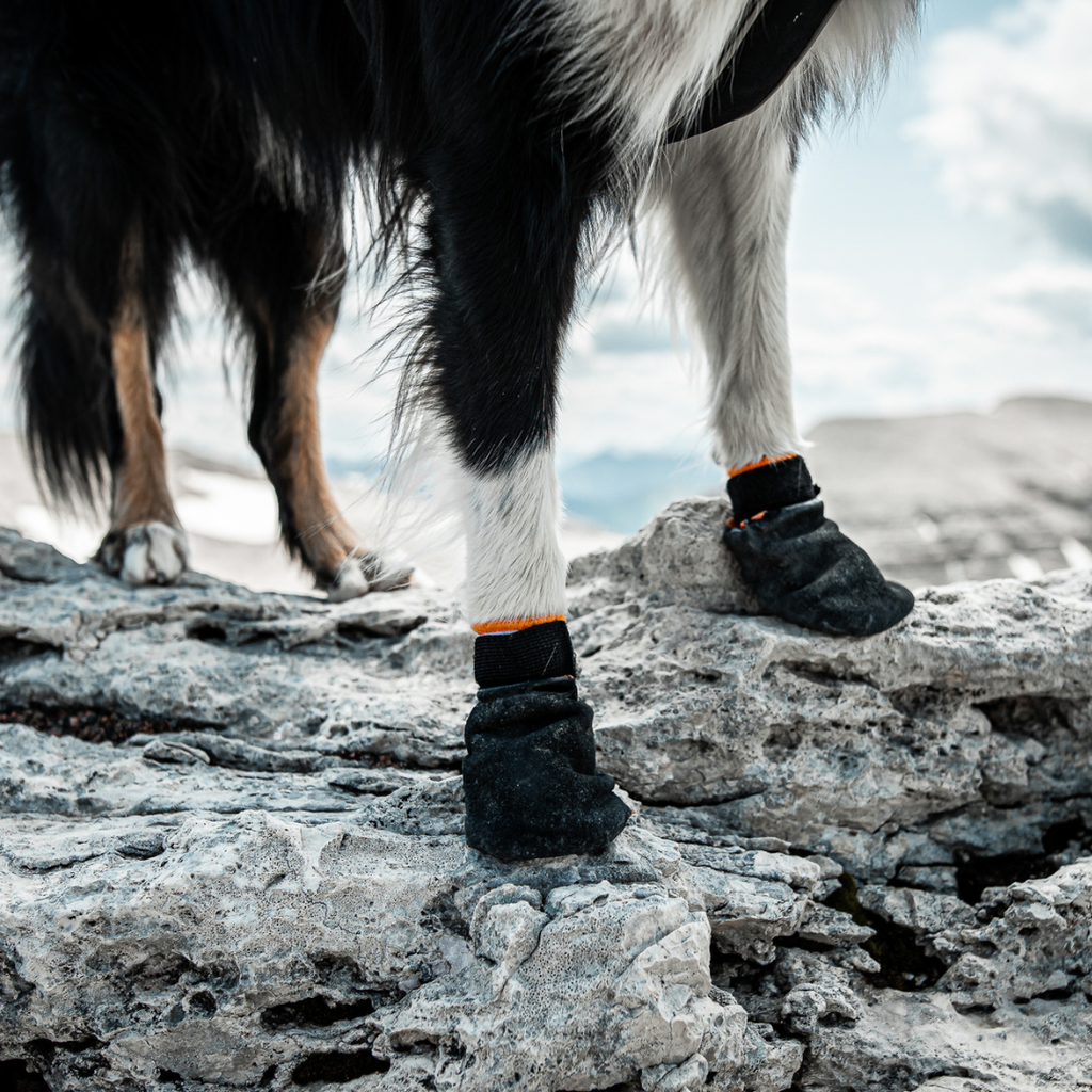 Pack Cooling Completo: Chaleco + Botines Protectores + Braga Swamp Cooler