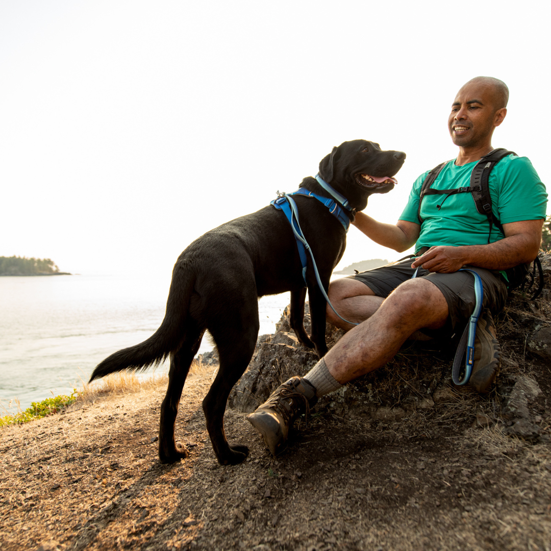 Ruffwear Arnés Front Range