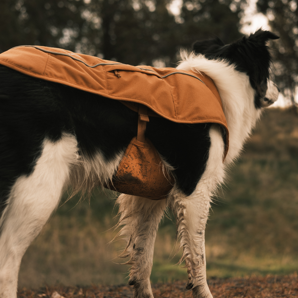 Ruffwear Overcoat Fuse