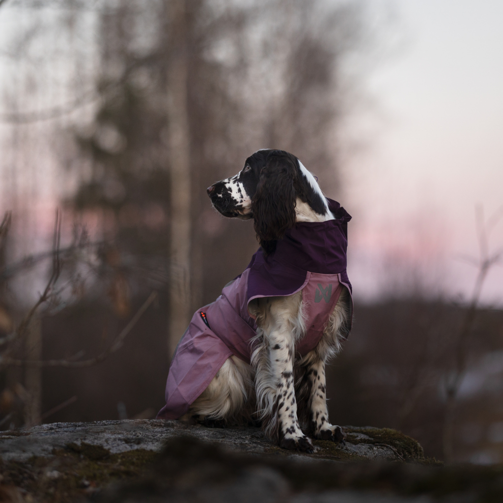 Non-Stop Dogwear Fjord Raincoat 2.0