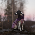 Non-Stop Dogwear Fjord Raincoat 2.0
