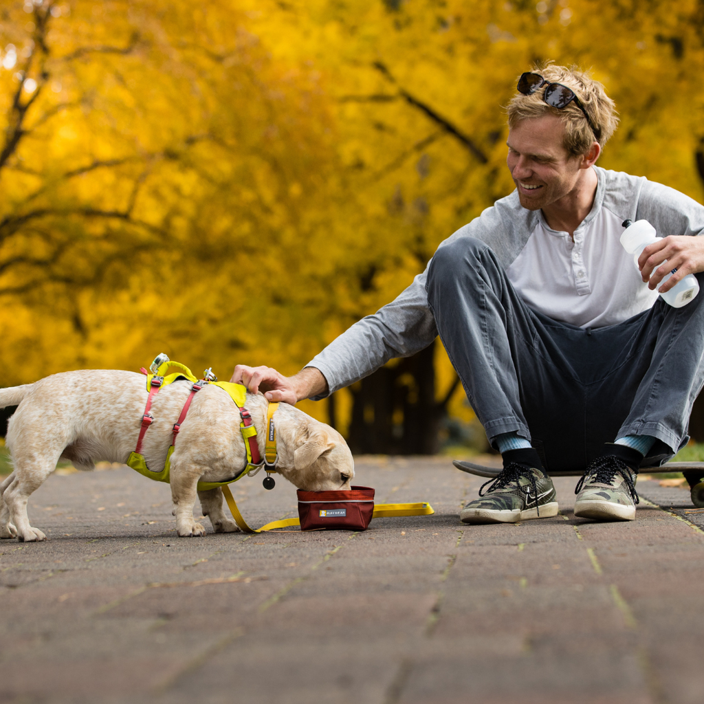 Ruffwear Flagline Harness