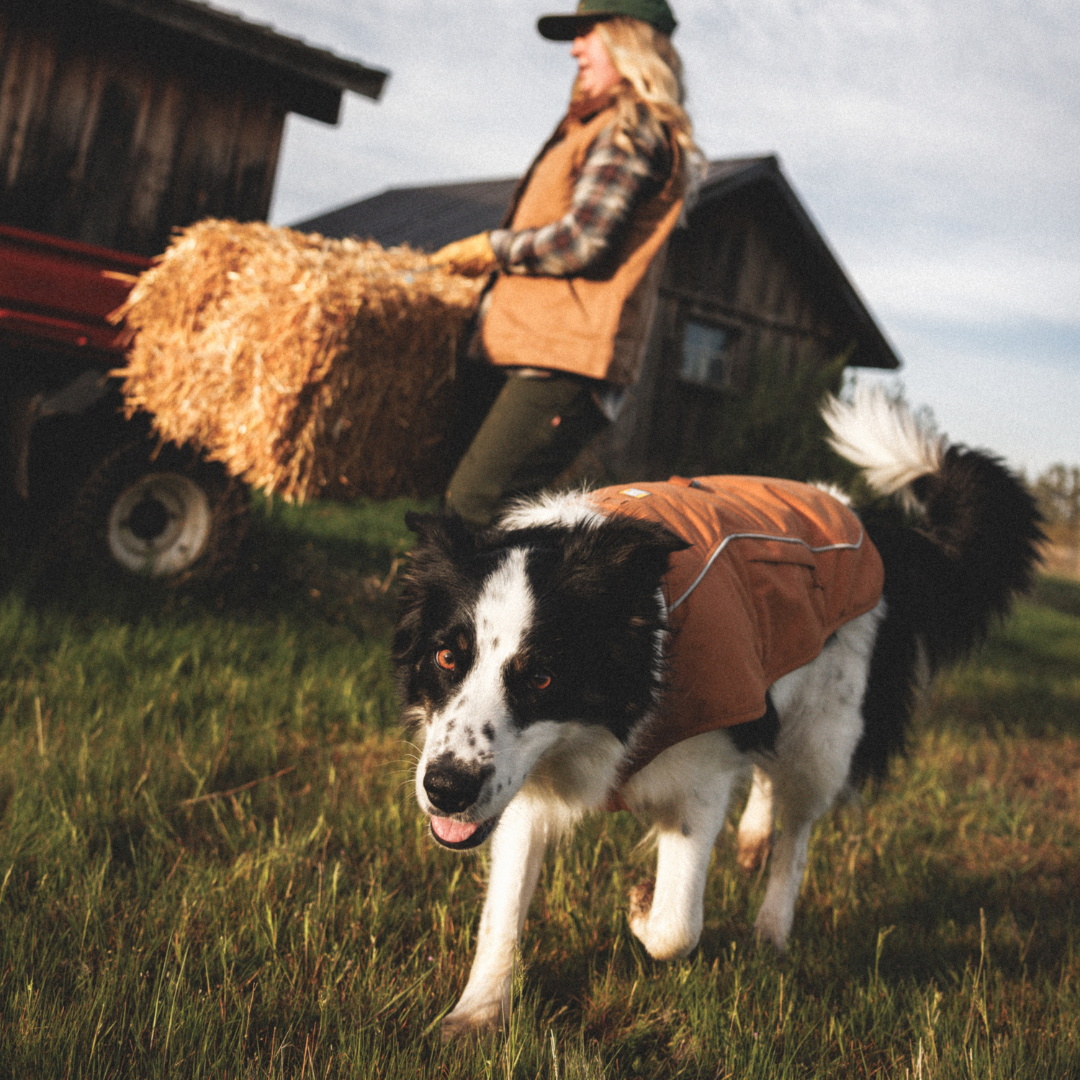 Ruffwear Overcoat Fuse