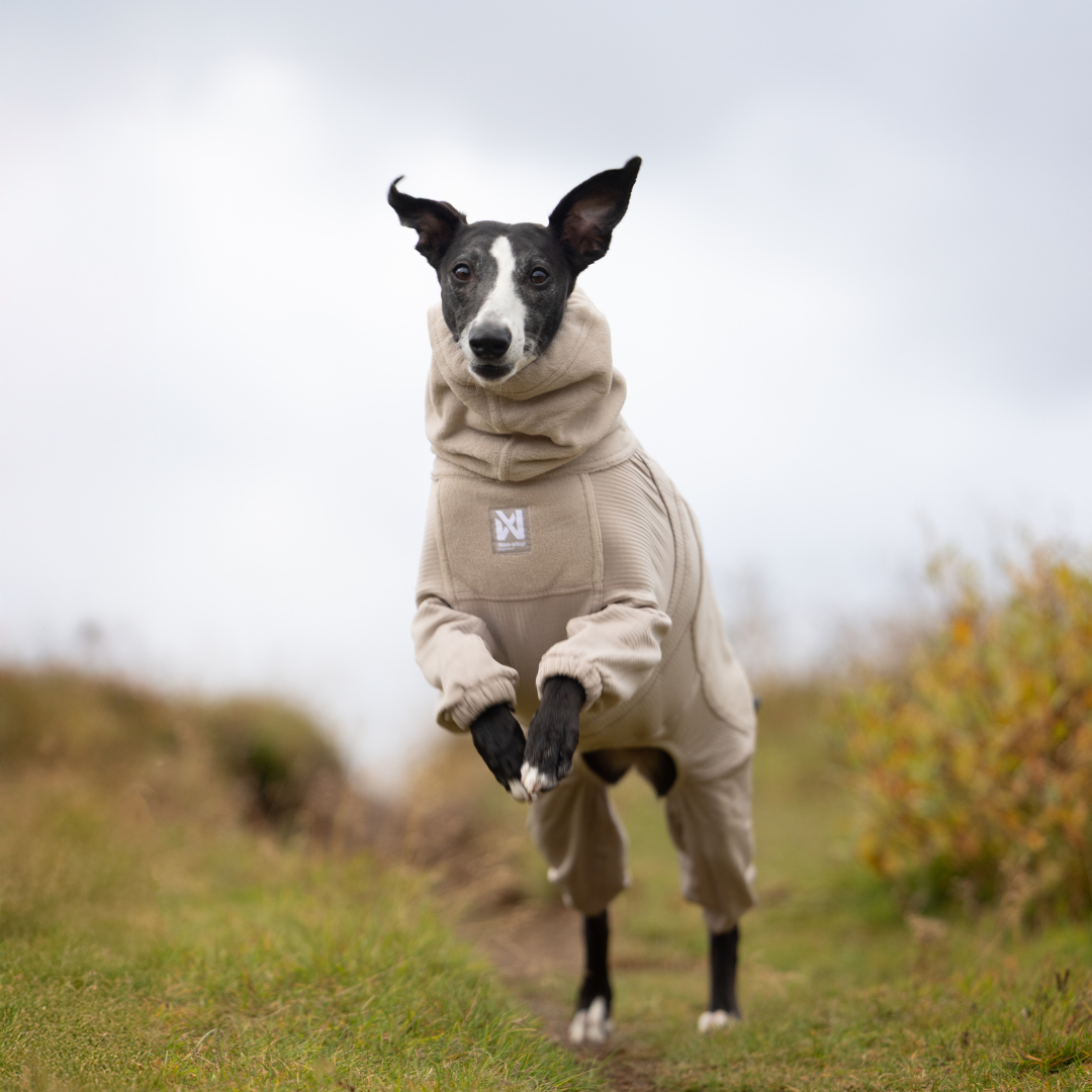 Non-Stop Dogwear Trail Quest Fleece Overall