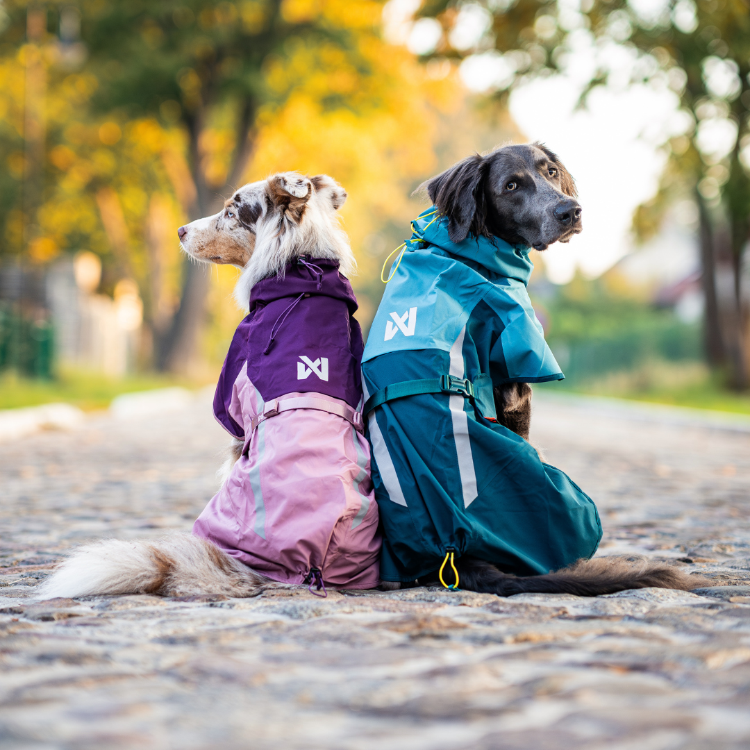 Non-Stop Dogwear Fjord Raincoat 2.0
