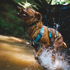Ruffwear Flagline Harness