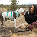 Ruffwear Flagline Harness