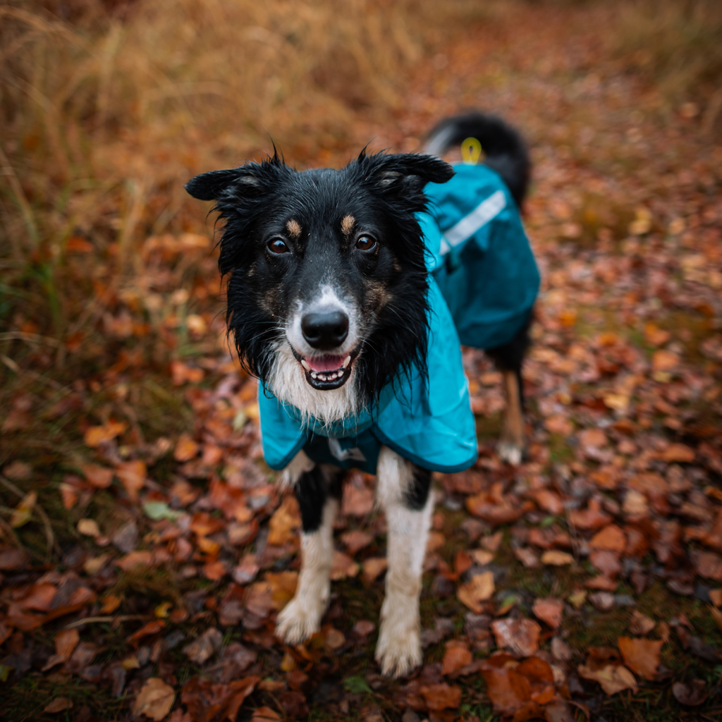 Non-Stop Dogwear Fjord Raincoat 2.0