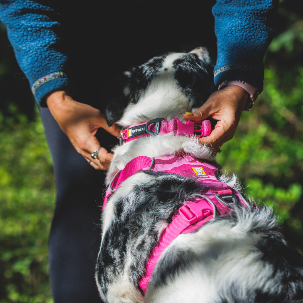 Ruffwear Arnés Front Range