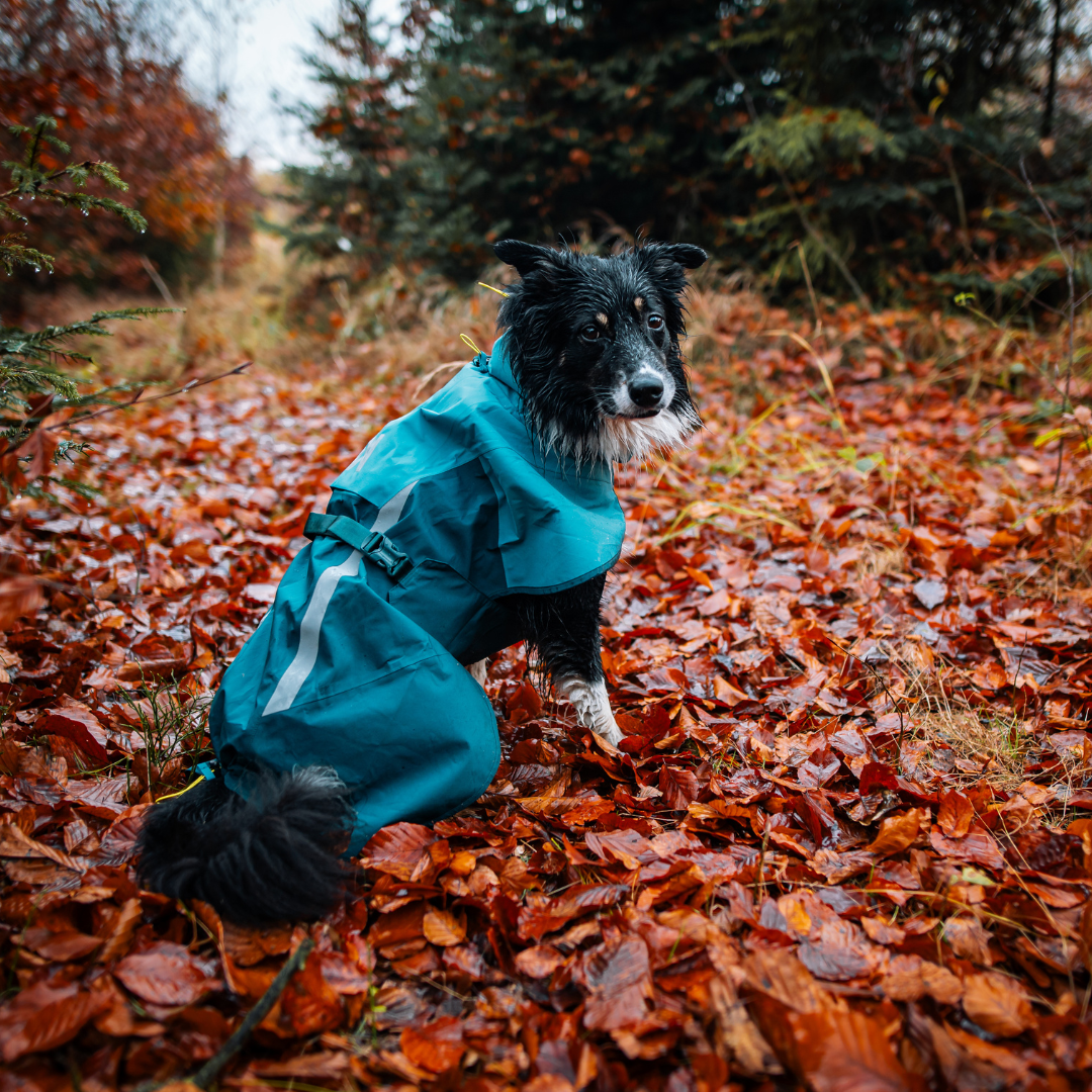 Non-Stop Dogwear Fjord Raincoat 2.0