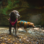 Ruffwear Flagline Harness