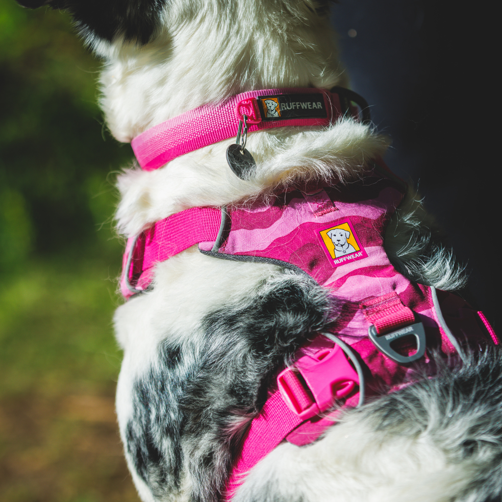 Ruffwear Arnés Front Range