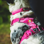 Ruffwear Arnés Front Range