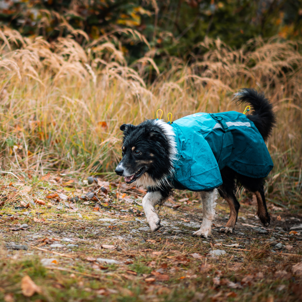 Non-Stop Dogwear Fjord Raincoat 2.0