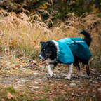 Non-Stop Dogwear Fjord Raincoat 2.0