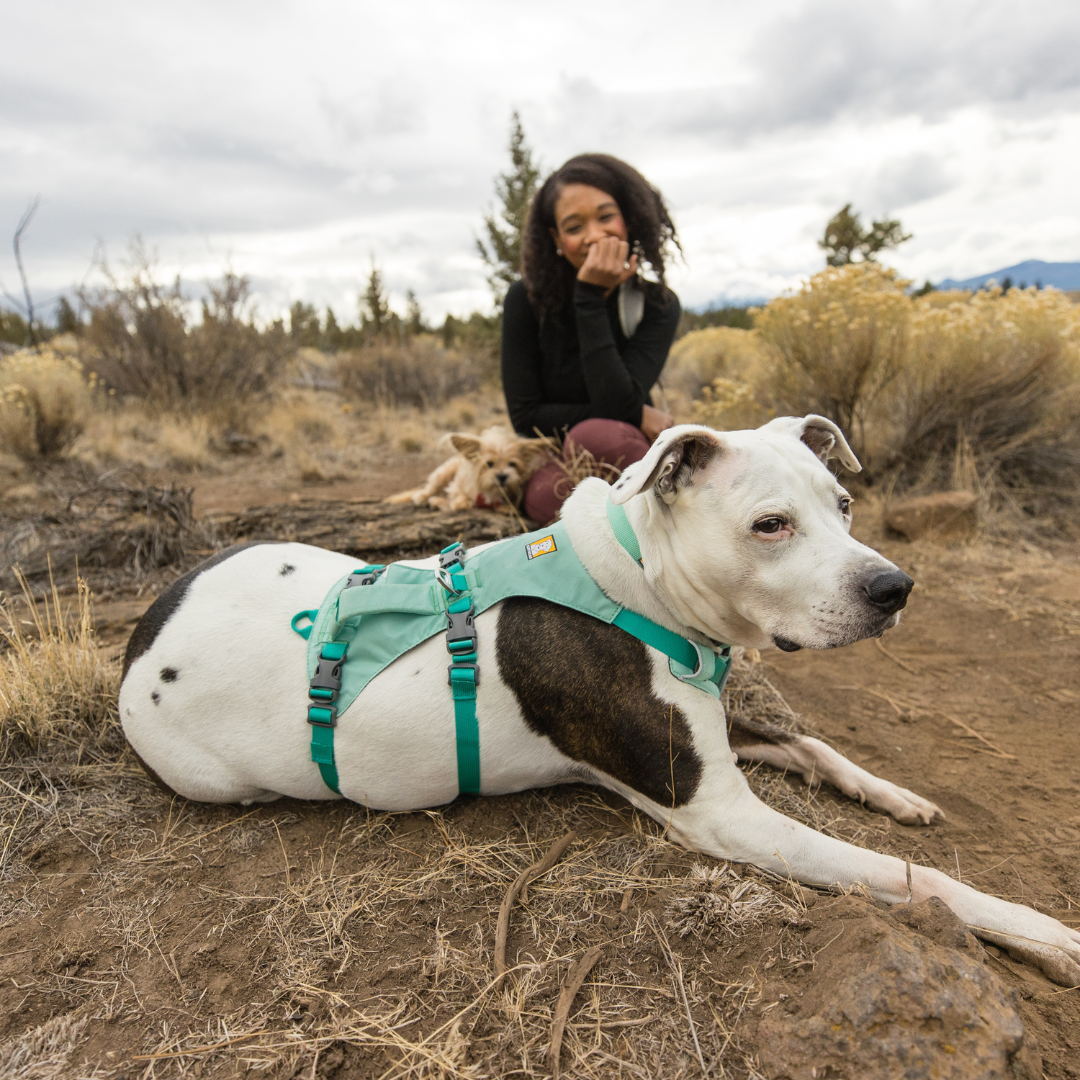 Ruffwear Flagline Harness