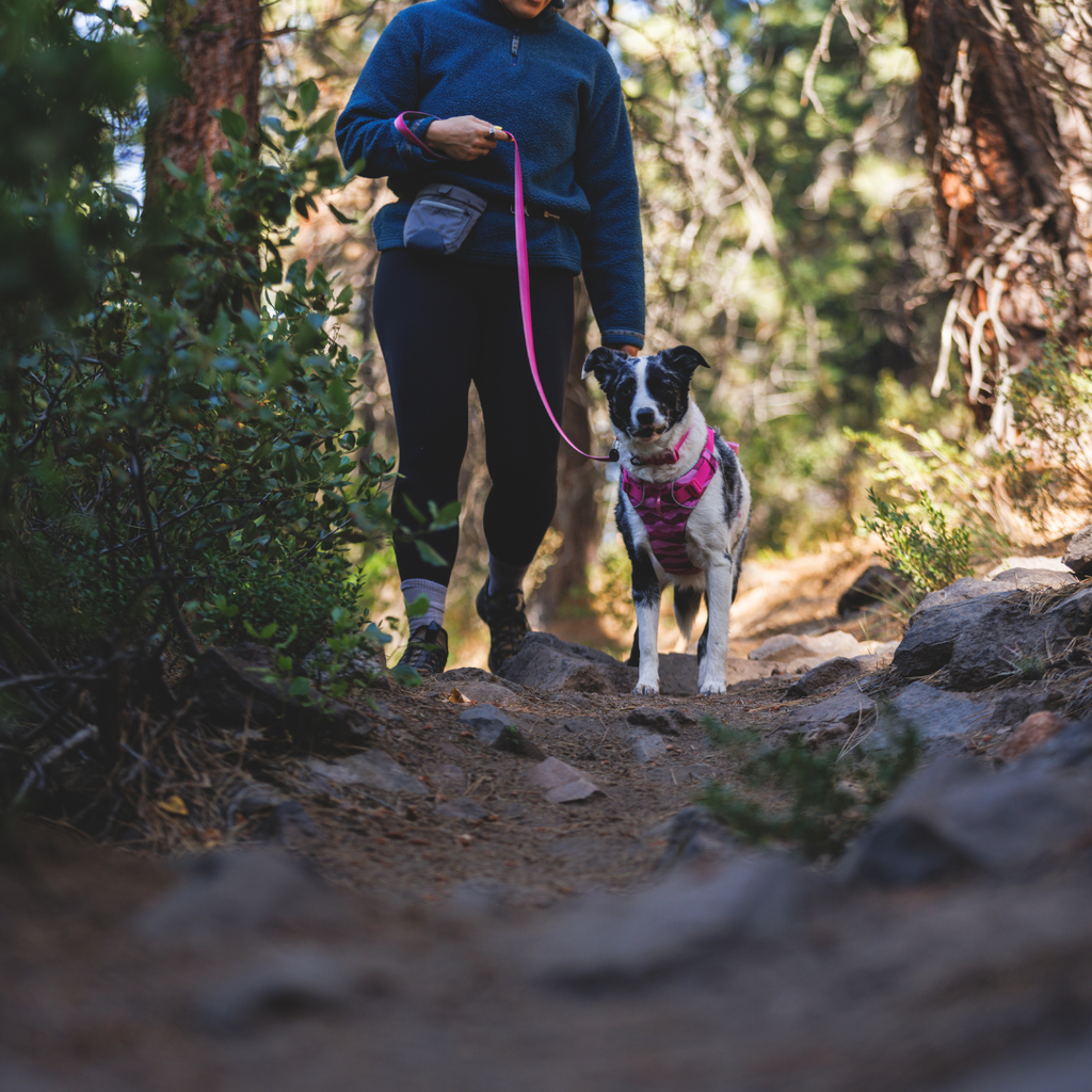 Ruffwear Arnés Front Range