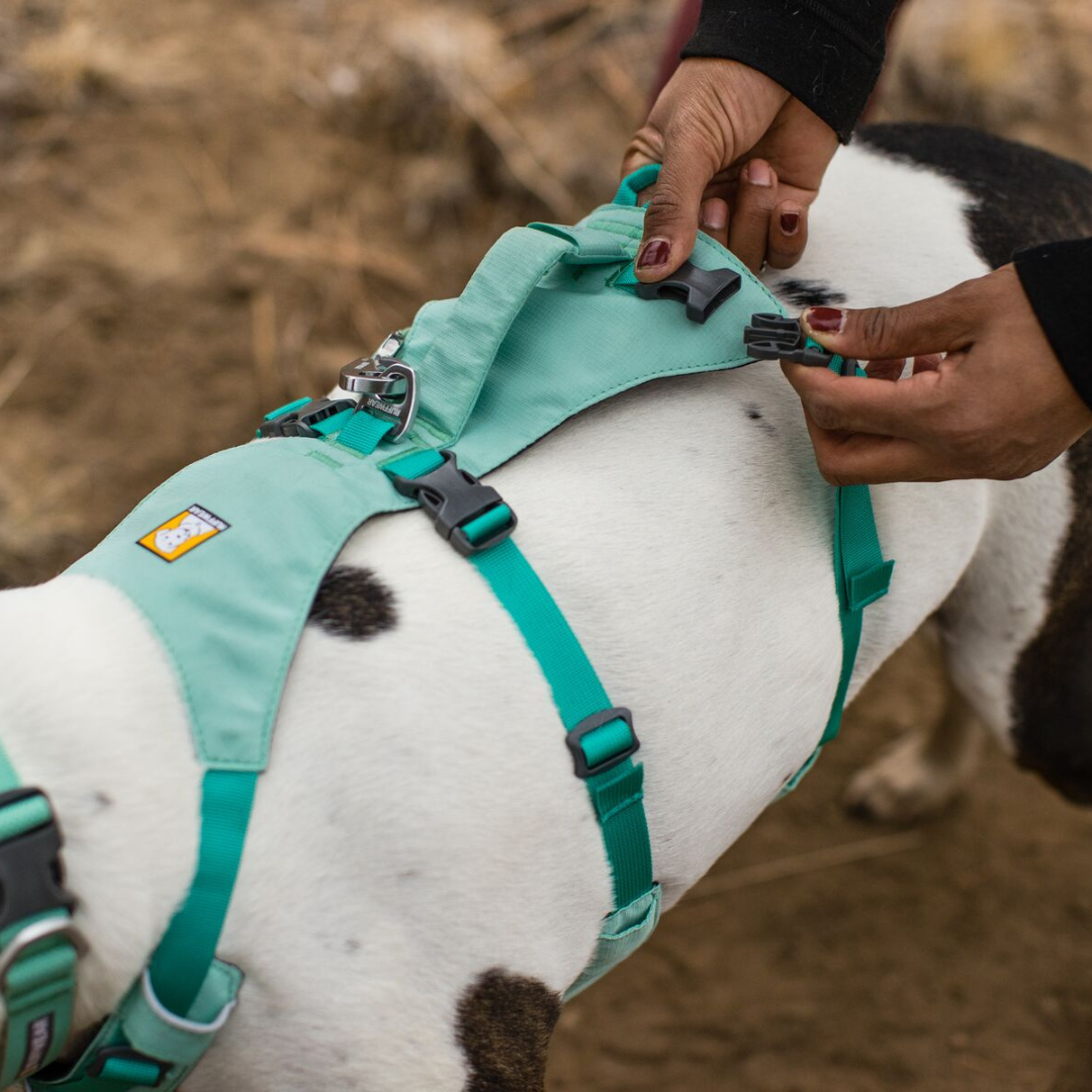 Ruffwear Flagline Harness