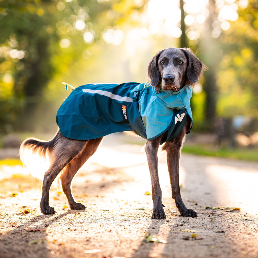 Non-Stop Dogwear Fjord Raincoat 2.0