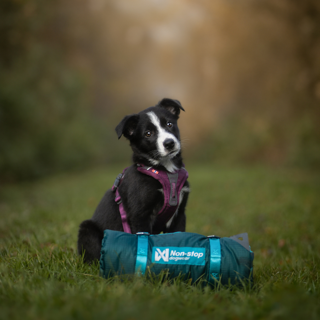 Non-Stop Dogwear Trekking Dog Bed